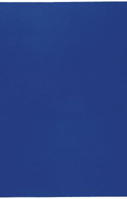 Xuyên không tôi quyết định không ngoan hiền nữa !