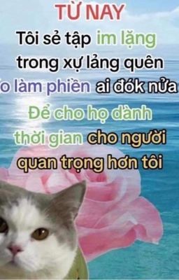 Xuyên thành nam chính ngôn tình nhưng nó lạ lắm