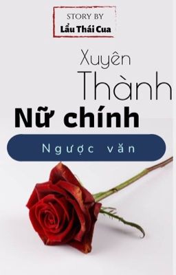 Xuyên Thành Nữ Chính Ngược Văn