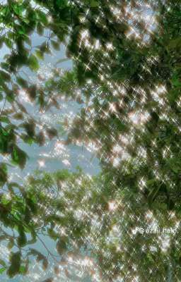 Xuyên Thành Pháo Hôi, Ta Tổ Chức 