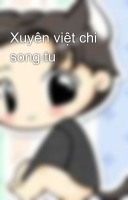 Xuyên việt chi song tu