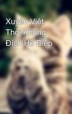 Xuyên Việt Thời Không Đích Hồ Điệp