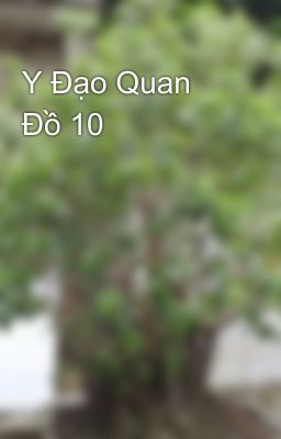 Y Đạo Quan Đồ 10