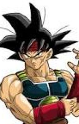 y/n as bardock