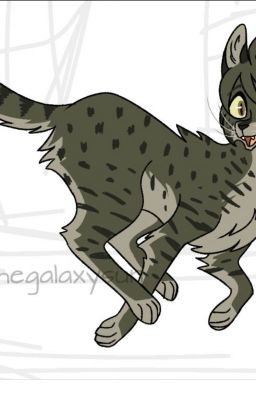 Yamaguchi((grass heart's)) flash((HIKYUU X WARRIOR CATS FANFICION))