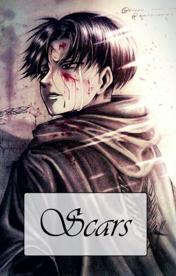 {Yandere LeviHan} Scars