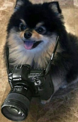 YeonTan