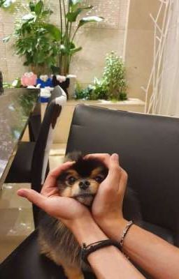 (Yeontan x Bam) Nơi này có anh 