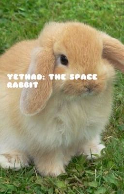 Yethad: The Space Rabbit