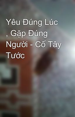 Yêu Đúng Lúc , Gặp Đúng Người - Cố Tây Tước