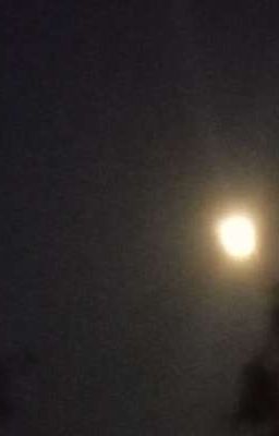 Yêu Khi Mùa Thu Tới 