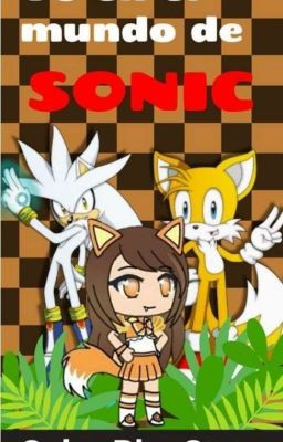 Yo en el mundo de Sonic 