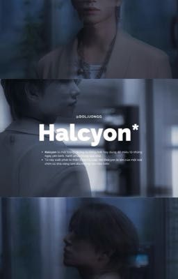 • Yoonhong • Halcyon