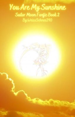 You are My Sunshine (Sailor Moon x Male Oc)[Book 2]