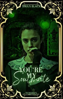 ✓ | you're my soulmate; sirius black 