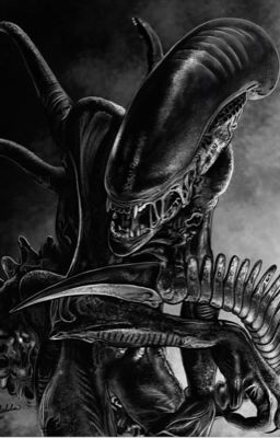 You're Ours ( Yandere Female Xenomorphs x Male Xenomorph human hybrid)