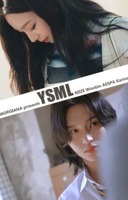 You Saved My Life || Wonbin x Karin (AU)