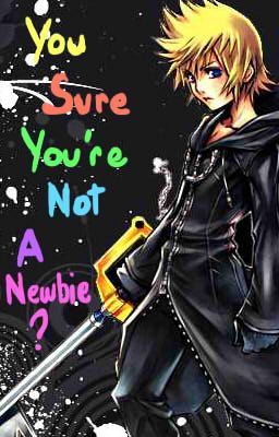 You Sure You're Not A Newbie? A Roxas Kingdom Hearts One-Shot.