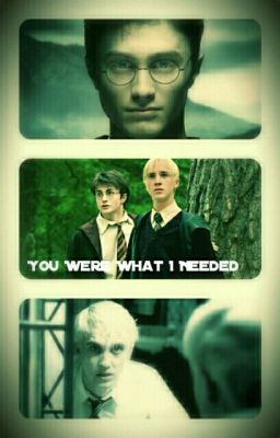 You Were What I Needed [Drarry Fanfiction] [Discontinued]