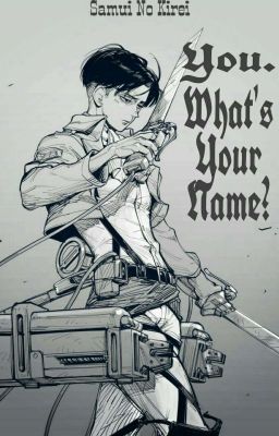 You. What Your Name? ||Levi X Reader [END] ✓