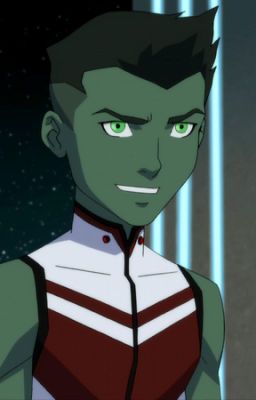 (Young Justice) Beast Boy x OC