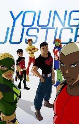 young justice x male reader 