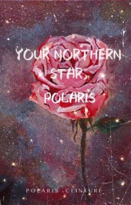 YOUR NORTHERN STAR, POLARIS