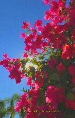 yzl • ngày mưa tháng nắng còn buồn