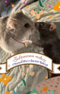 🐭Zabroniona Miłość 🐹| Chomik Kui x Szczur |5 city| 