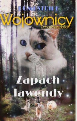 Zapach Lawendy