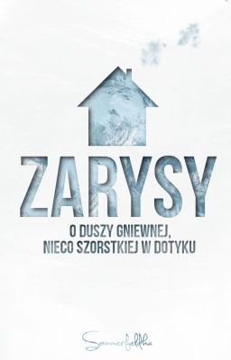 Zarysy | Miniaturka