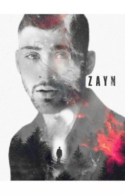 Zayn // book (fragments)