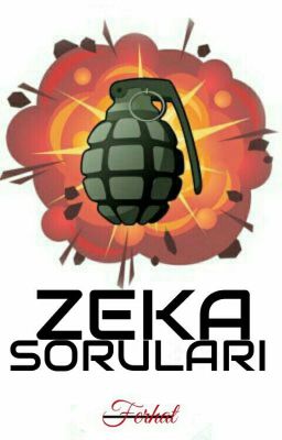 ZEKA SORULARI