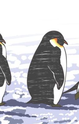 Zeka x Viper | Evelynn.