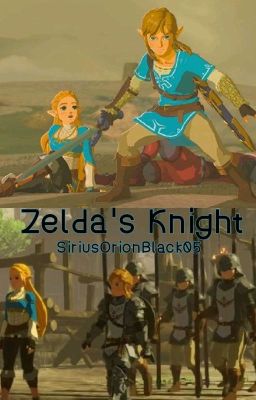 Zelda's knight (Botw/AoC)