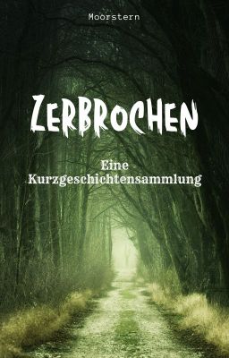 Zerbrochen       /Eine Kurzgeschichtensammlung/