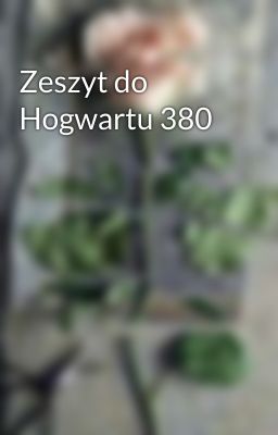 Zeszyt do Hogwartu 380