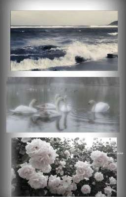 [ zeus - viper - peanut ] loveline