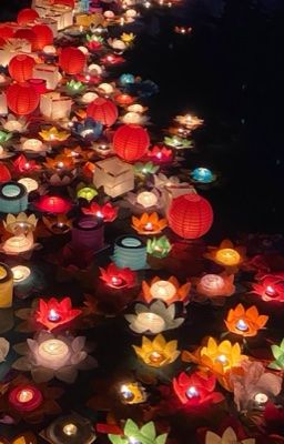 [zeuvi] - duyên trời