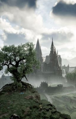 『 ZEUVI 』Stray Spell