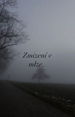 Zmizení v mlze