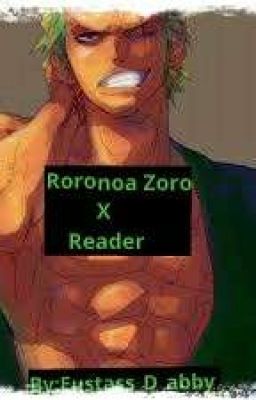 ~zoro x reader~