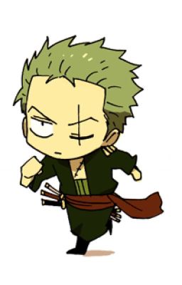 Zoro x Reader