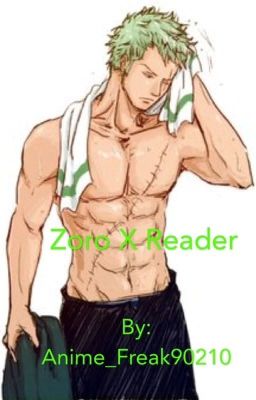 Zoro X Reader