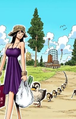 [ZoRobin/LuNami] Niềm tin không thể dập tắt