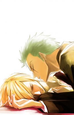 ZoSan_Hpbd Zoro ~\( - v - )/~