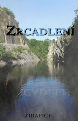 Zrcadlení