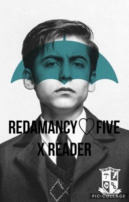 ʀᴇᴅᴀᴍᴀɴᴄʏ♡five x reader