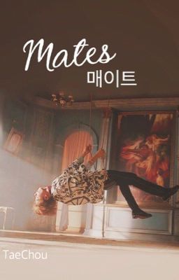 ˗ˏˋ Mates ˎˊ˗