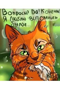 Задай вопрос Коту - Воителю !! 🐾 (Завершено)